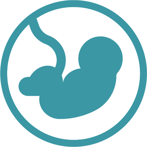 Γενετική & Εμβρυολογία